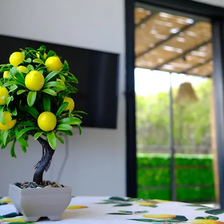 Aysem Mill Hill 아파트