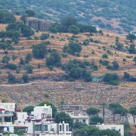 Aysem Mill Hill 아파트 *