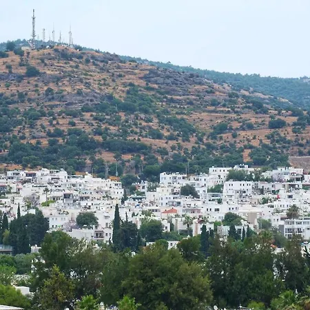 Aysem Mill Hill Apartment